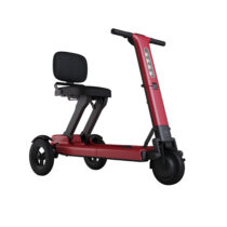 S540 Foldie Katlanır Scooter